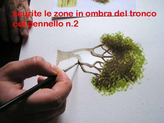 corso di disegno naturalistico 7 lezione